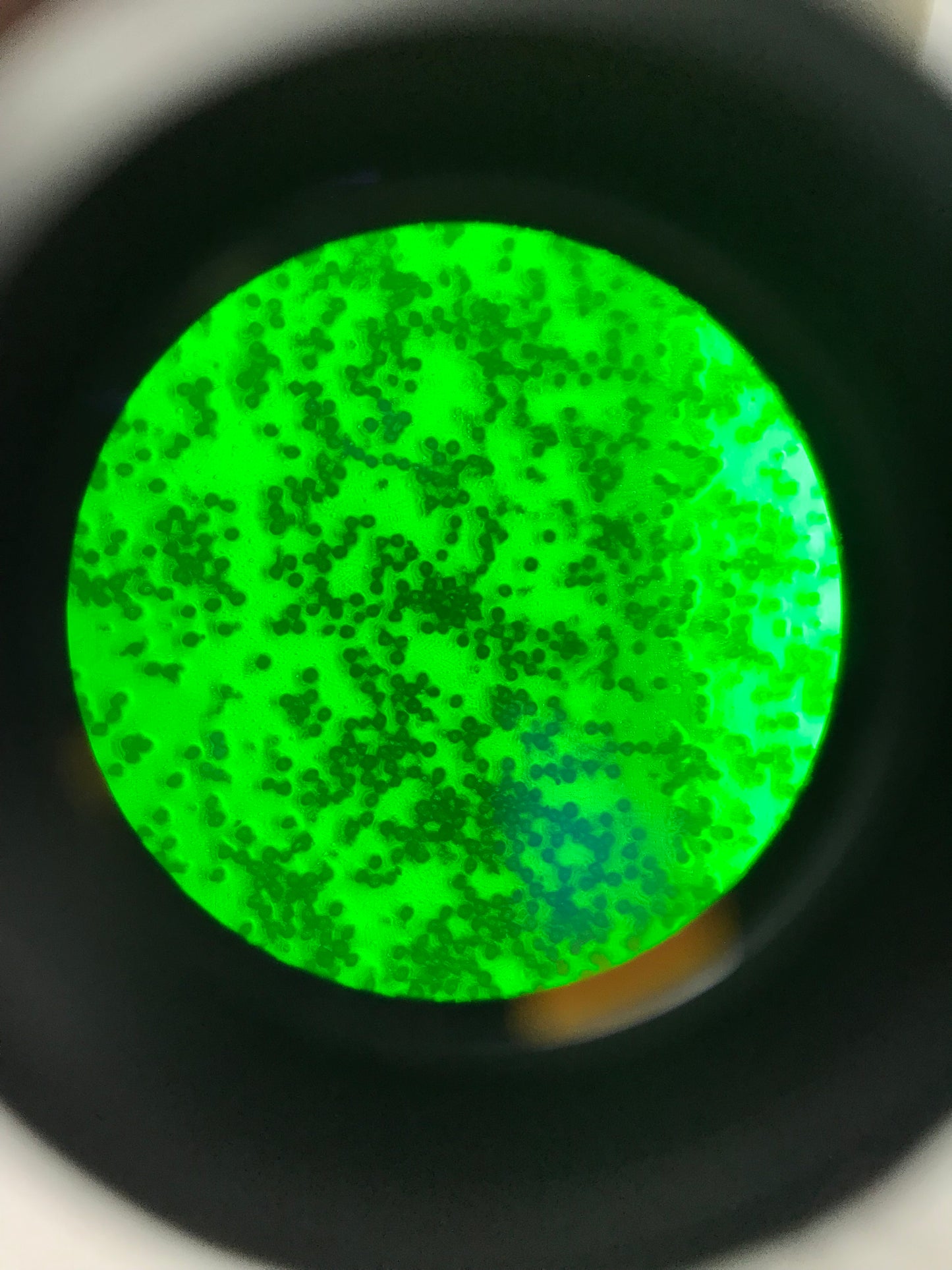 Olympus CK2 Inverted Phase Contrast Microscope W/ 3 Objectives 4x 10x 20x