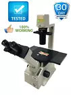 Nikon TMS Inverted Phase Contrast Microscope 3 Objectives 4x 10x 20x