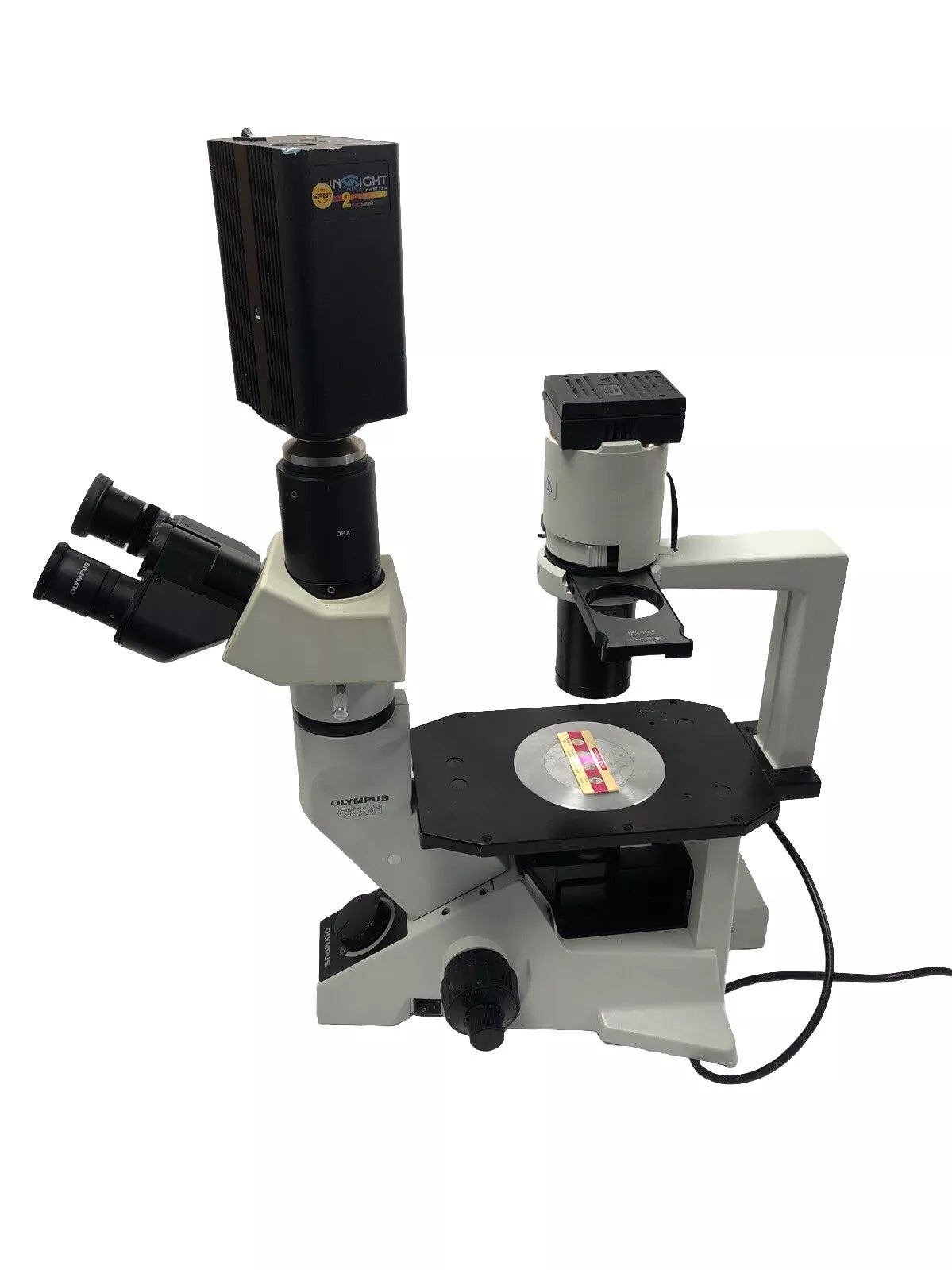 Olympus CKX41 Inverted Microscope with Phase Contrast 4 objective 4,10,20,40