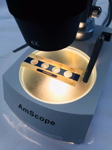 AmScope SE306-P 20x-40x Binocular Stereo Microscope with Dual Lights Tested