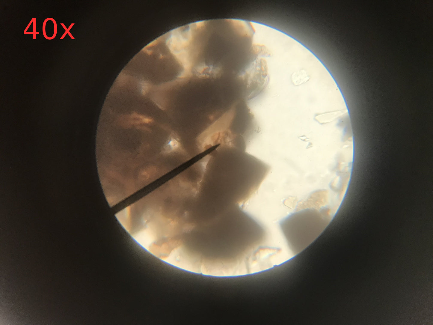 Parco Monocular Microscope WF10X DIN/ 18MM, 40/0.65, 10/0.25, 4/0.1