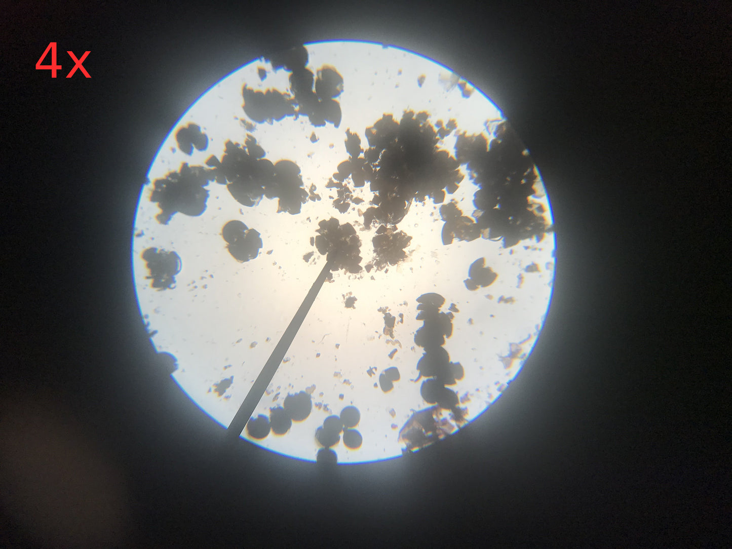 Parco Monocular Microscope WF10X DIN/ 18MM, 40/0.65, 10/0.25, 4/0.1