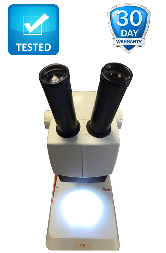 Leica ES2 Stereo Microscope with Stand and Two Lamps