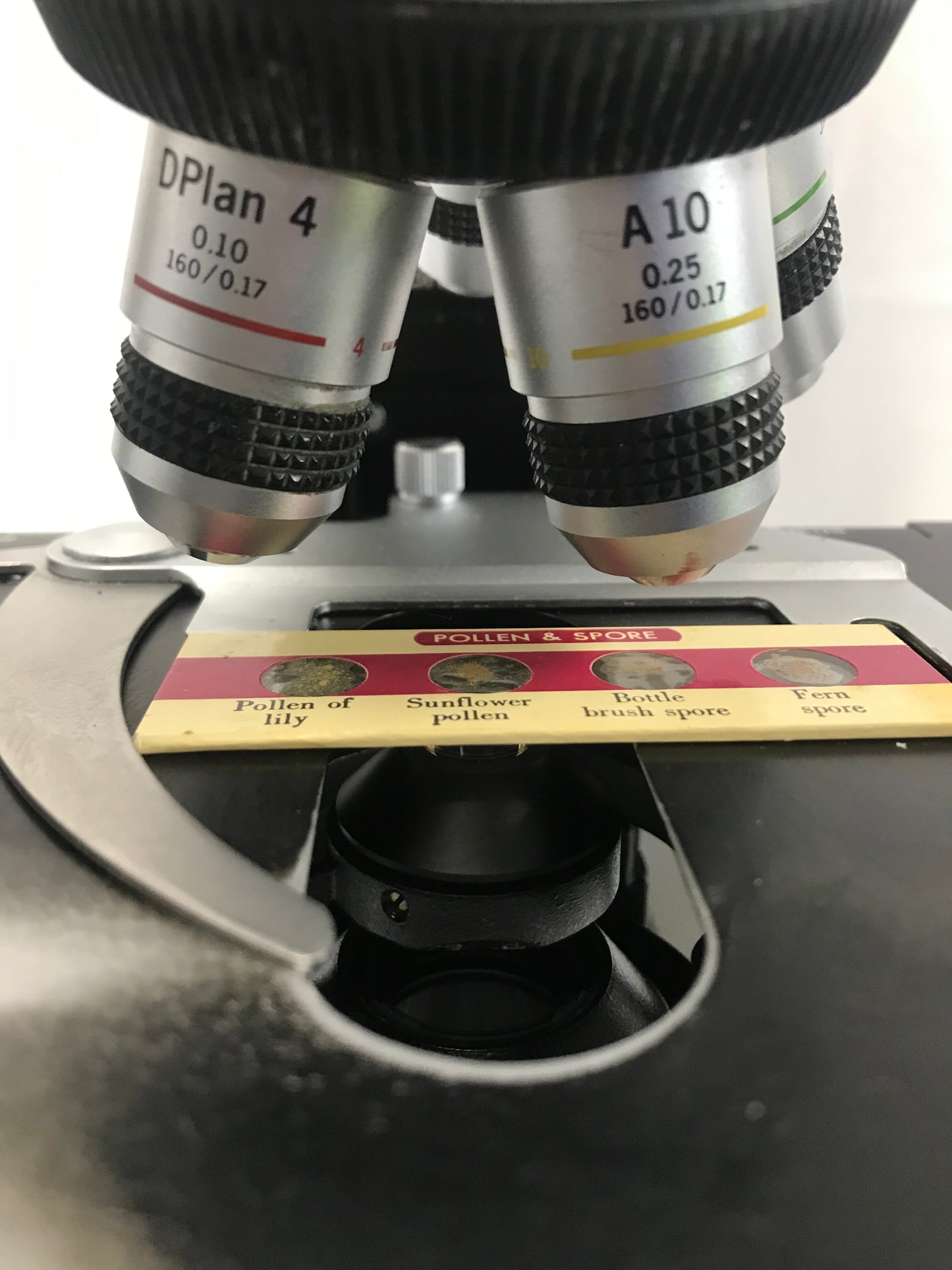 Olympus Microscope BH2 BH-2 Teaching microscope 4x 10x 20x 40x