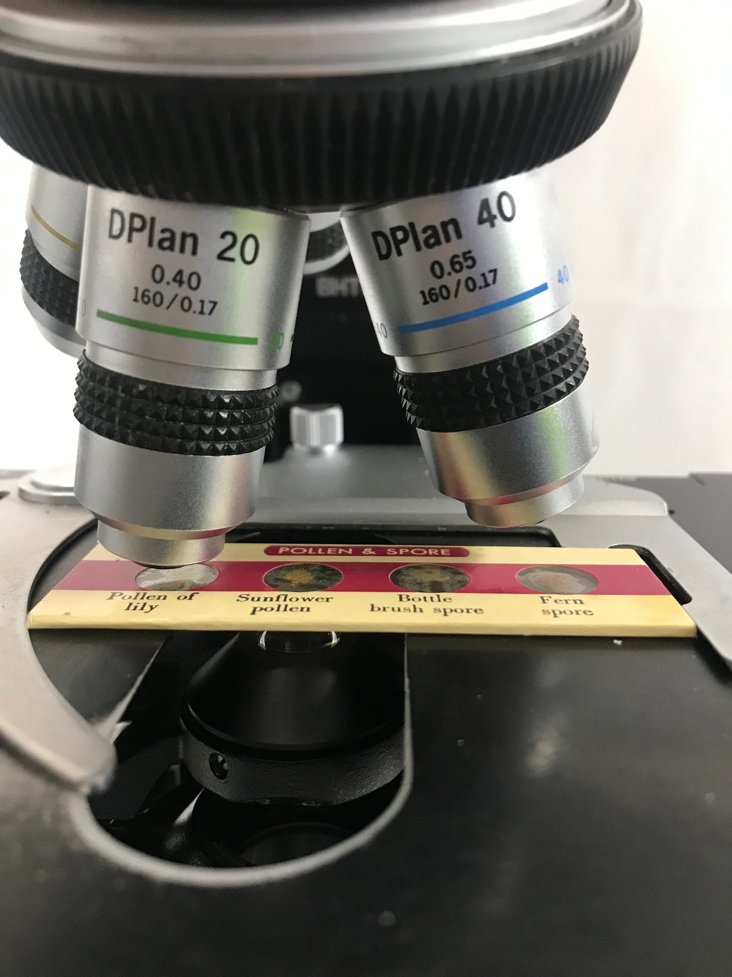 Olympus Microscope BH2 BH-2 Teaching microscope 4x 10x 20x 40x