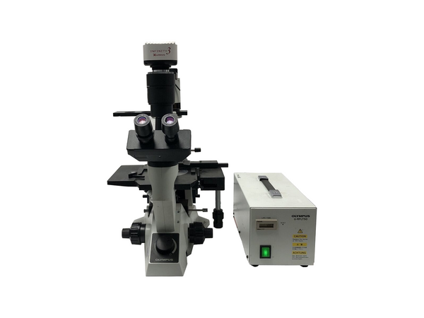 Olympus CK40 Inverted Fluorescence Phase Contrast Microscope Tested working