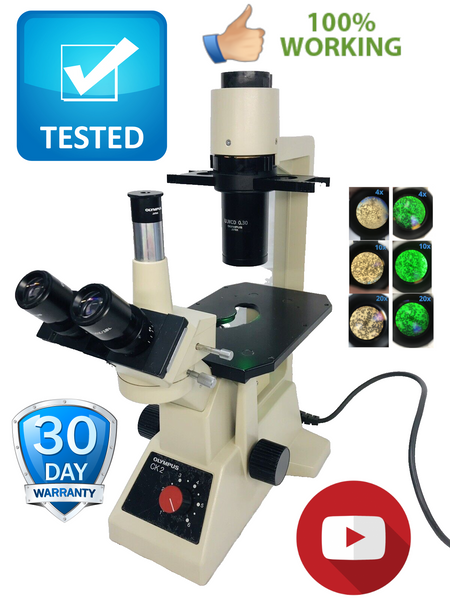 Olympus CK2 Inverted Phase Contrast Microscope W/ 3 Objectives 4x 10x 20x