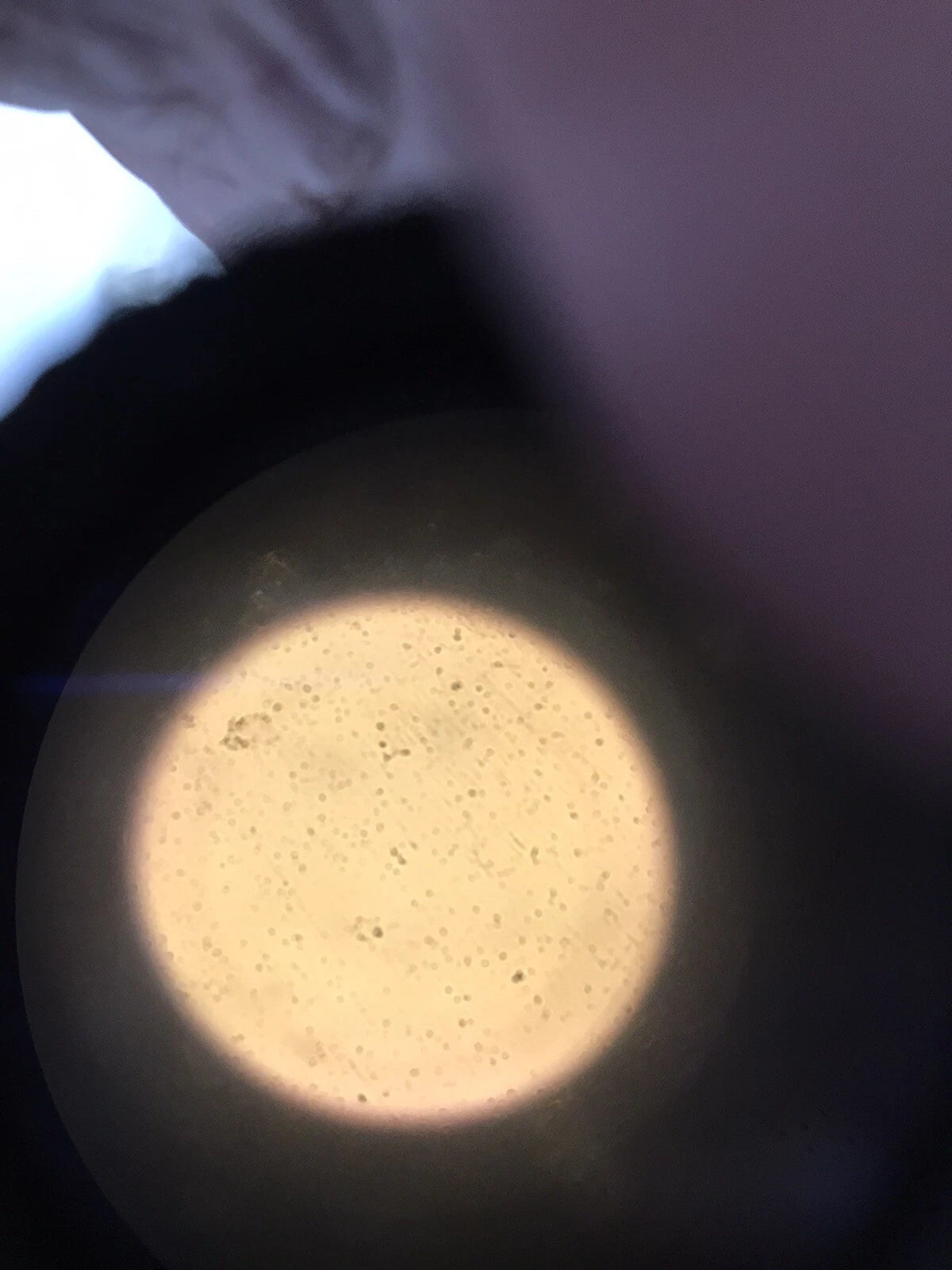Nikon Eclipse TE200 Phase Fluorescence Microscope Light source 2 Objectives