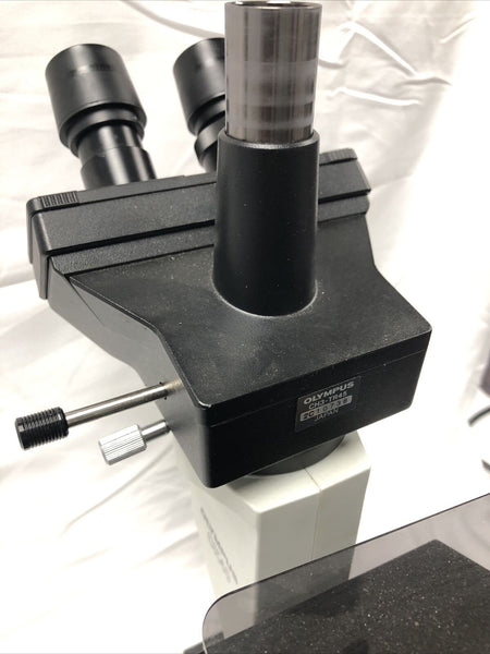 Olympus CK40 Inverted Fluorescence Phase Contrast Microscope Tested working