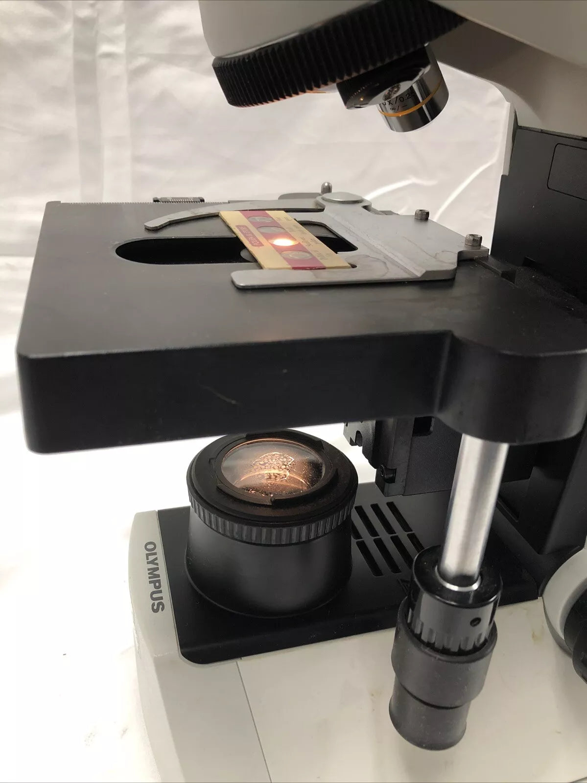 Olympus CX41 Biological Lab Microscope Phase Contrast CX-41RF 10x  Working