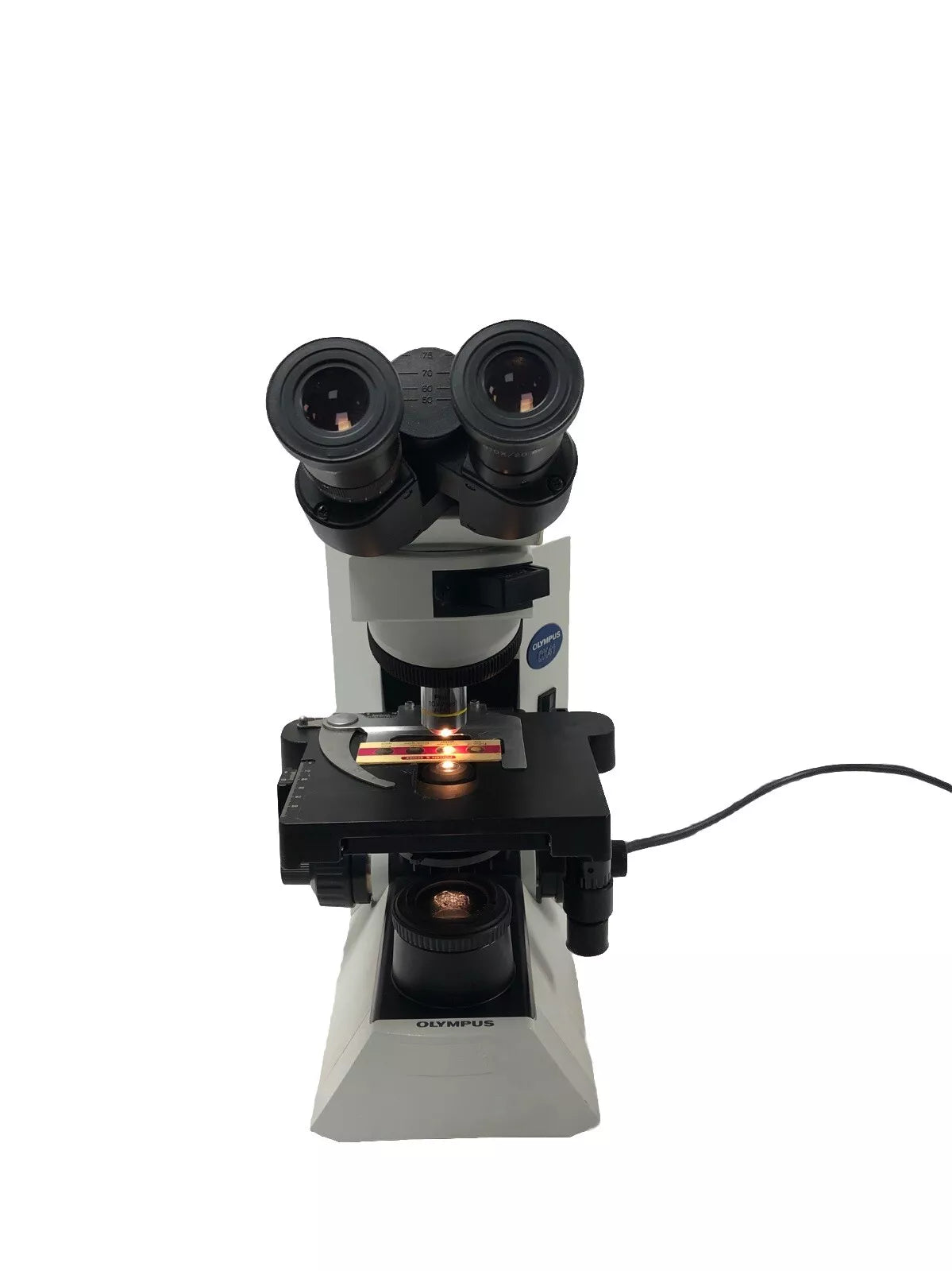 Olympus CX41 Biological Lab Microscope Phase Contrast CX-41RF 10x  Working