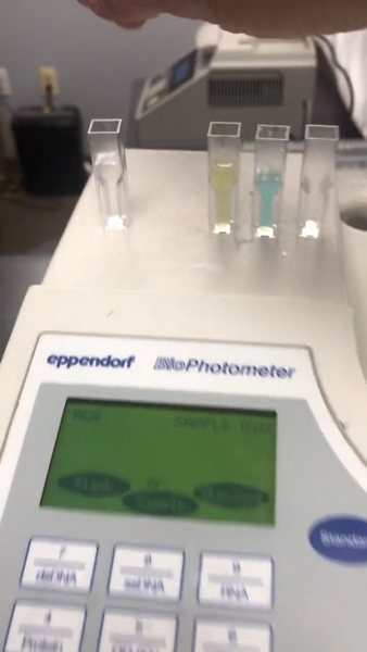 Eppendorf 6131 BioPhotometer Spectrophotom UV/Vis DNA RNA Oligo Protein Bacteria