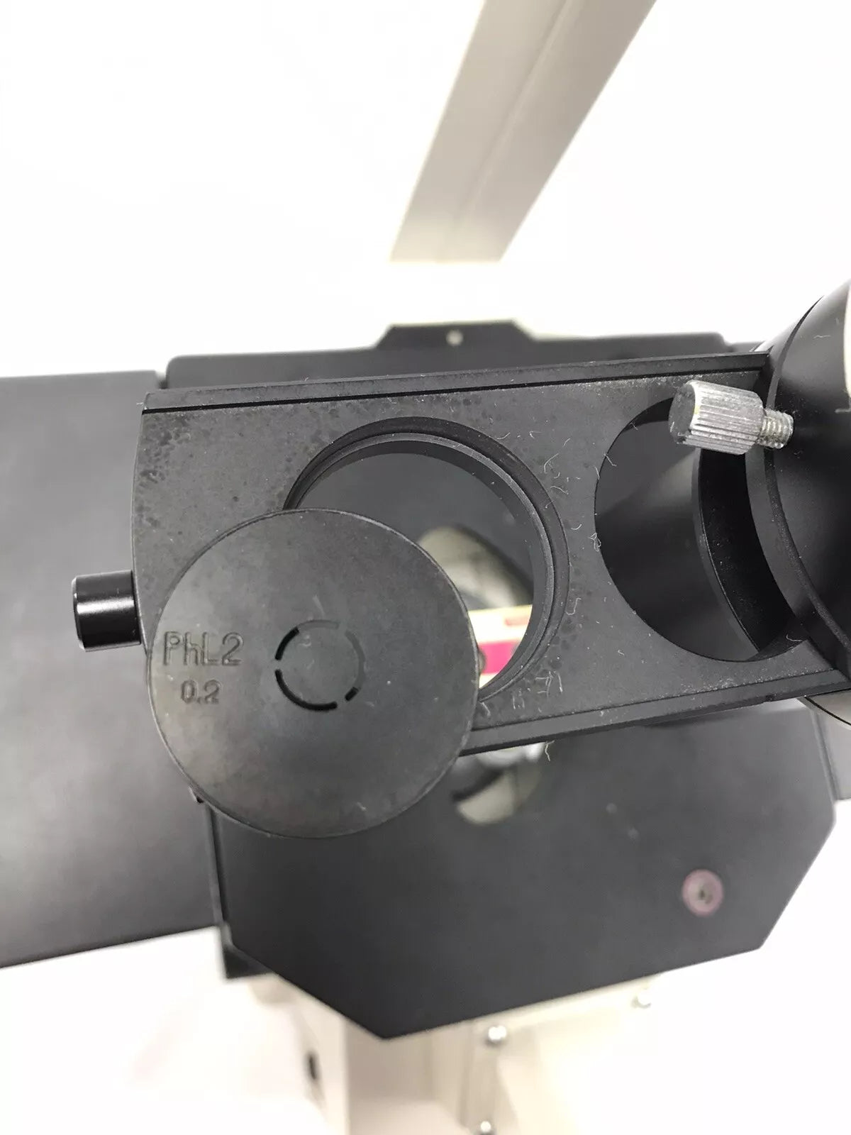 Nikon TMS Inverted Phase Contrast Microscope 3 Objectives 4x 10x 20x