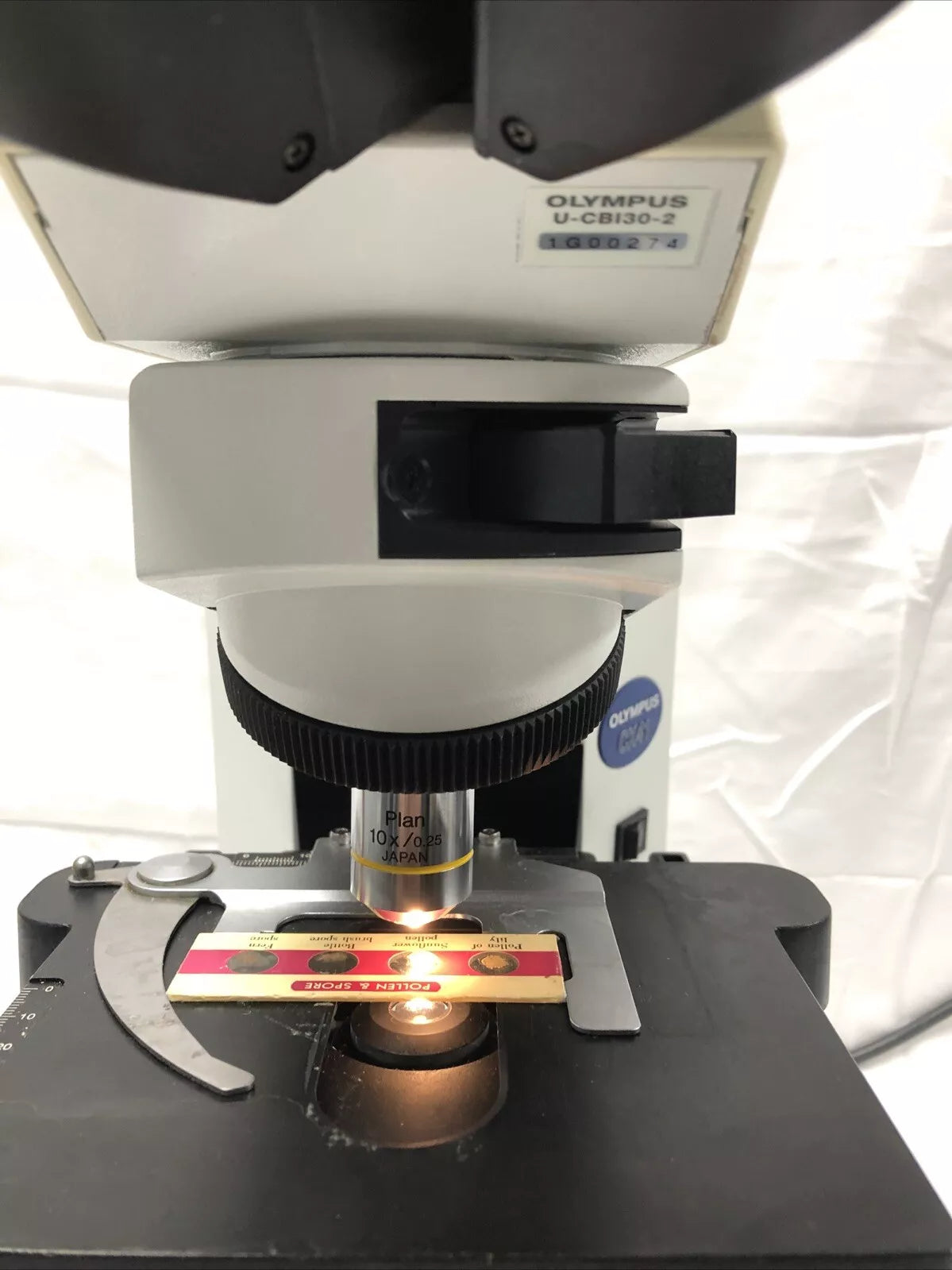 Olympus CX41 Biological Lab Microscope Phase Contrast CX-41RF 10x  Working