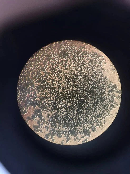 Nikon TMS Phase Contrast Inverted Microscope 2 Objectives 10x 20x Binocular