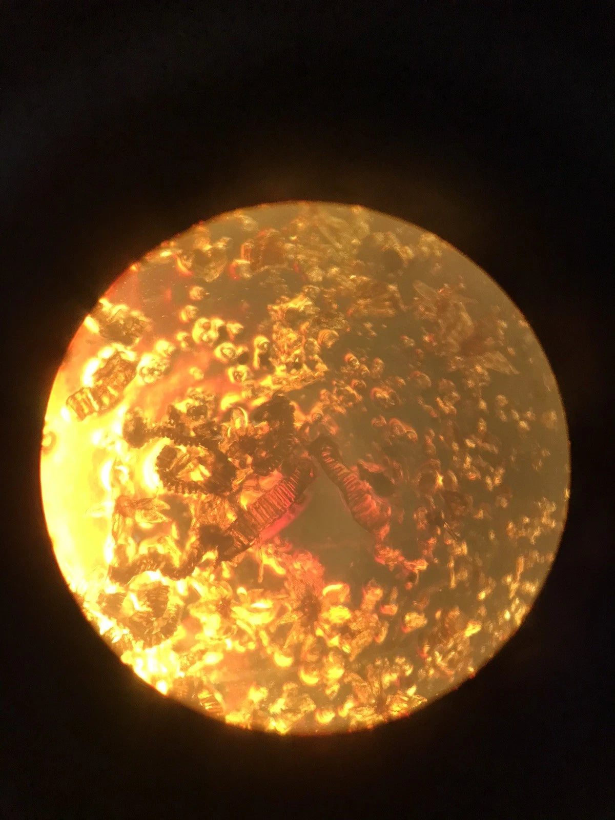 Leica Leitz DM IL Inverted Microscope w/ 4 Objectives Phase Contrast Phaco 1a