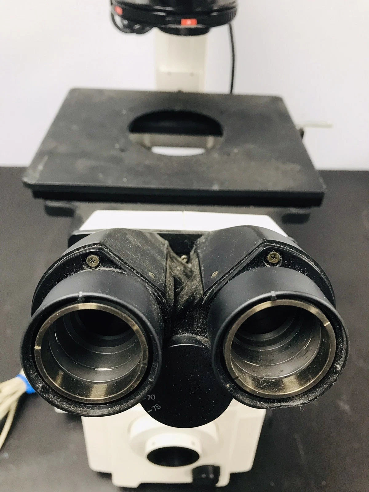 Nikon Eclipse TE2000-U Microscope
