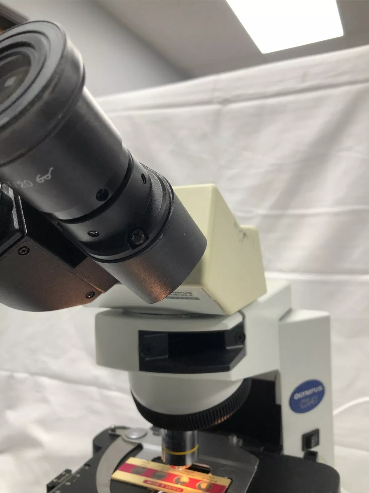 Olympus CX41 Biological Lab Microscope Phase Contrast CX-41RF 10x  Working