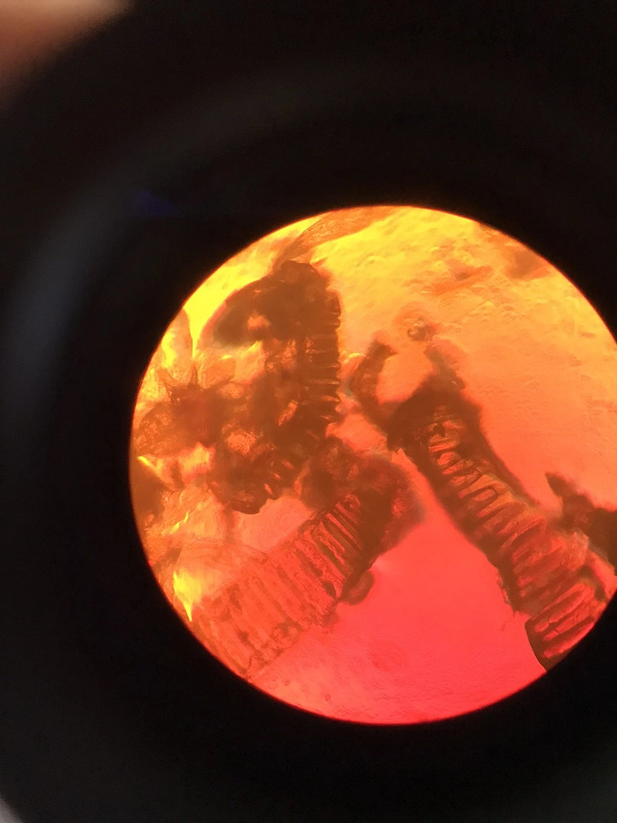 Leica Leitz DM IL Inverted Microscope w/ 4 Objectives Phase Contrast Phaco 1a