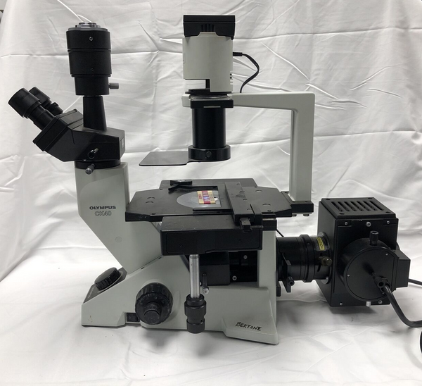 Olympus CK40 Inverted Fluorescence Phase Contrast Microscope Tested working