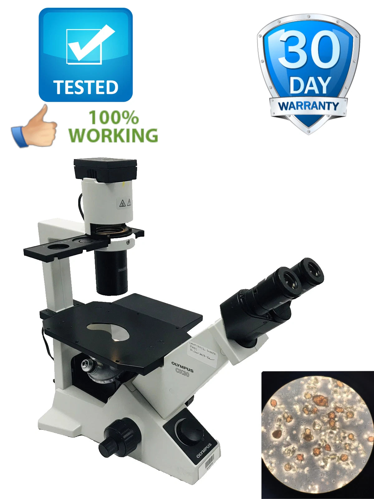 Olympus Microscope CK30 Inverted with Phase Contrast CK30-F100 4x 10x 20x 40x