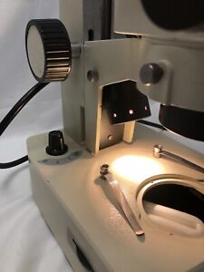 Fisher Scientific StereoMaster Zoom Microscope with 7x 45x