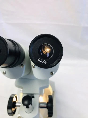 AmScope SE306-P 20x-40x Binocular Stereo Microscope with Dual Lights Tested