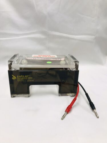 Thermo Scientific Owl EasyCast B1A Mini Gel Electrophoresis System