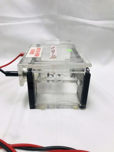 Thermo Scientific Owl EasyCast B1A Mini Gel Electrophoresis System