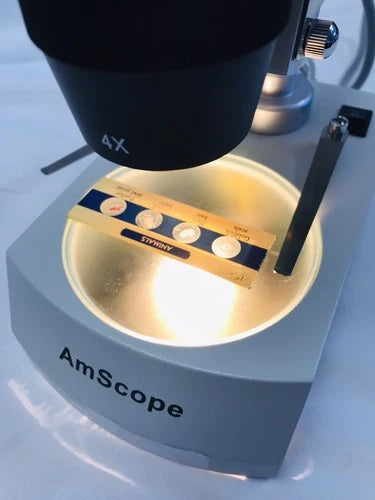 AmScope SE306-P 20x-40x Binocular Stereo Microscope with Dual Lights Tested
