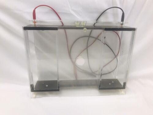 Thermo Scientific Owl Separation Systems A2 Large Gel RNA/DNA Analysis