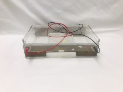 Thermo Scientific Owl Separation Systems A2 Large Gel RNA/DNA Analysis