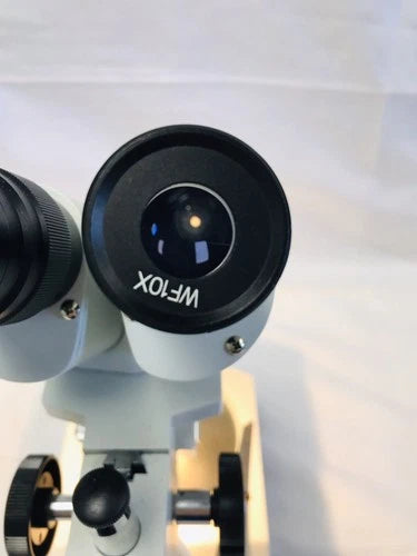 AmScope SE306-P 20x-40x Binocular Stereo Microscope with Dual Lights Tested