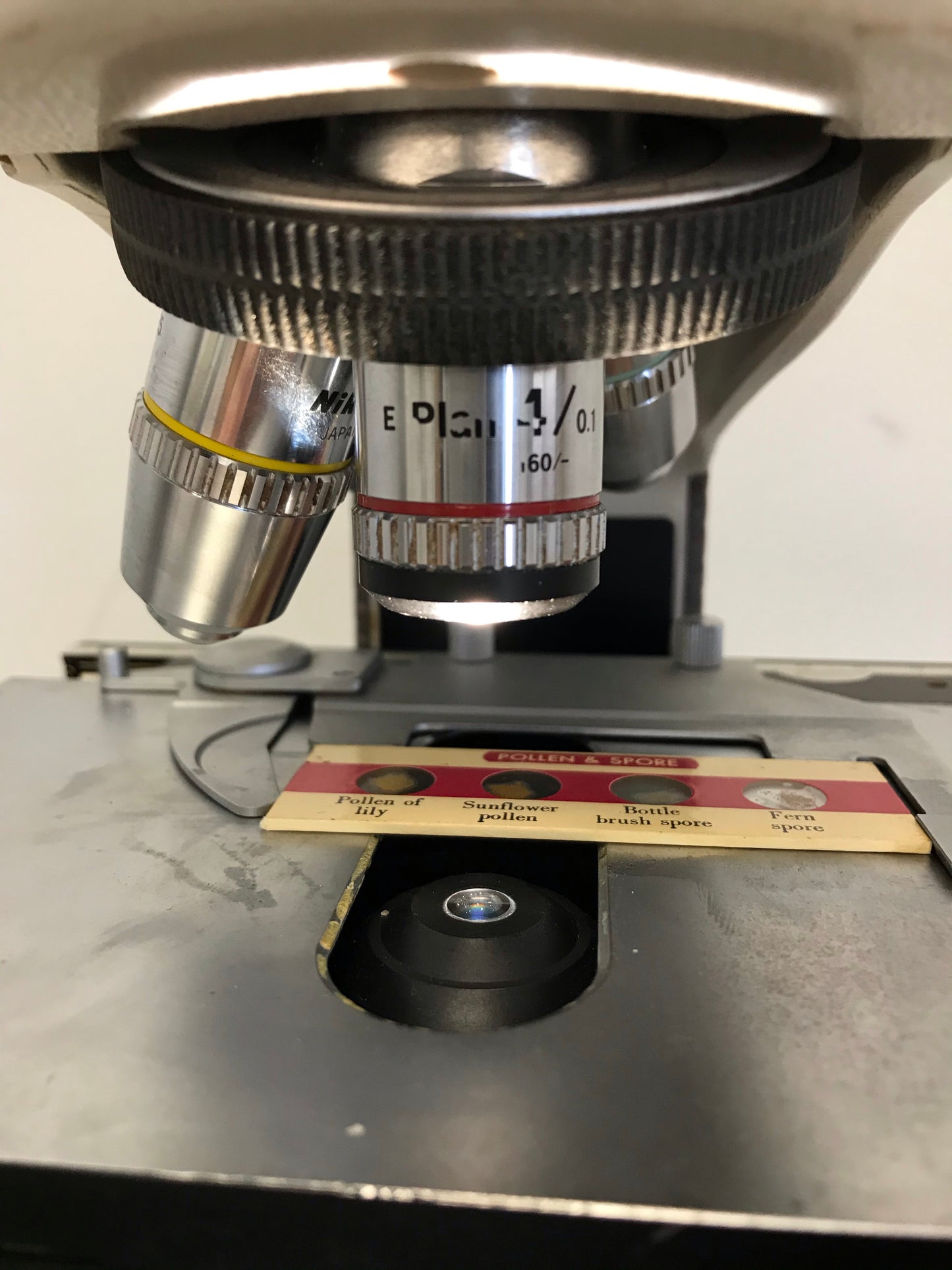 Nikon Labophot-2 Microscope + Dual Head Teaching Microscope Tested! 4 Objectives