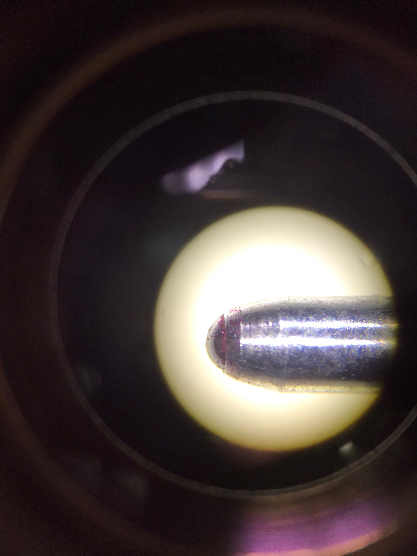 Leica ES2 Stereo Microscope with Stand and Two Lamps