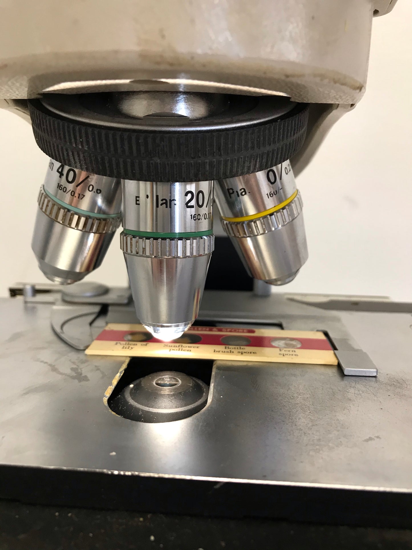 Nikon Labophot-2 Microscope + Dual Head Teaching Microscope Tested! 4 Objectives