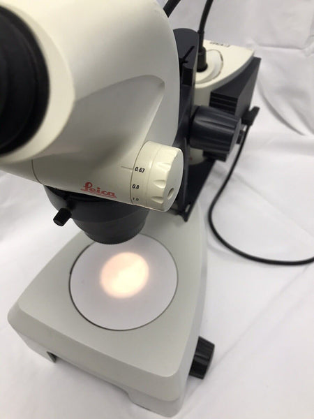 Leica S6E Stereo Zoom Microscope With Stand Light Source & 10x Eyepieces Tested